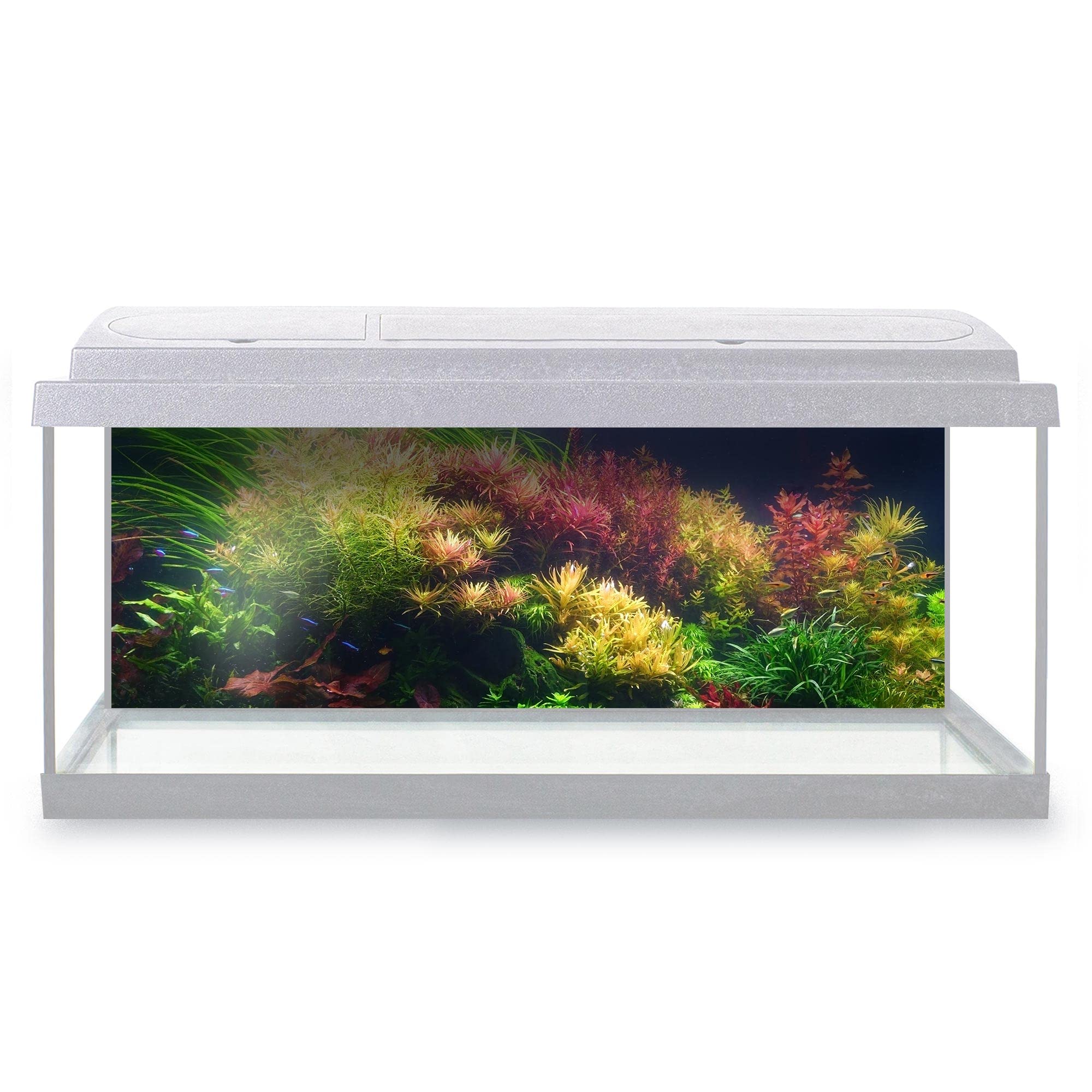 DV DESIGN Aquarium Fish Tank Background 92x32 cm - Colorful Aquatic Plants Tank Marine Landscape Underwater World Static Cling Vinyl Vivarium Terrarium External Application #500032