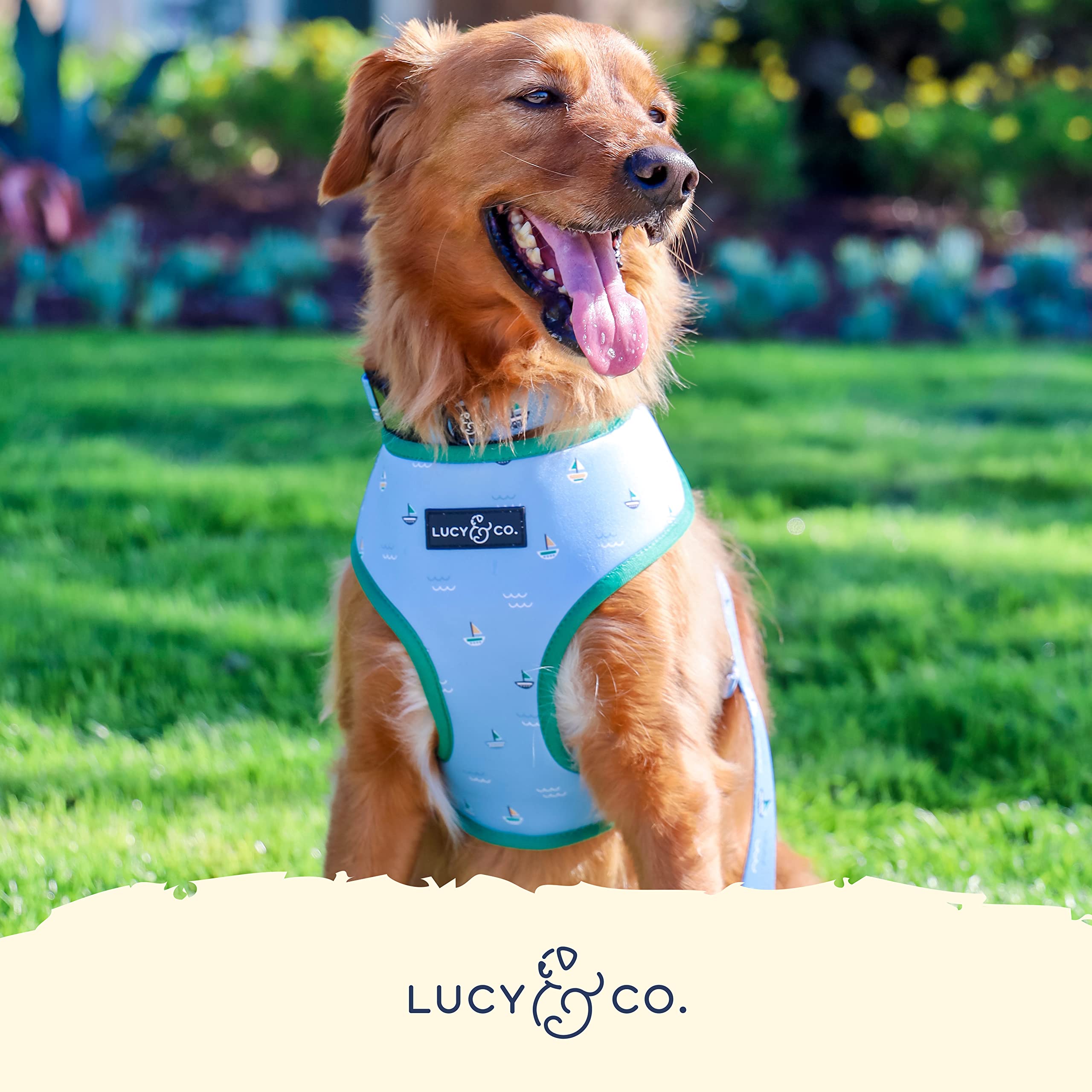 Golden Retriever Best Dog Harness For Pulling Dogs Golden