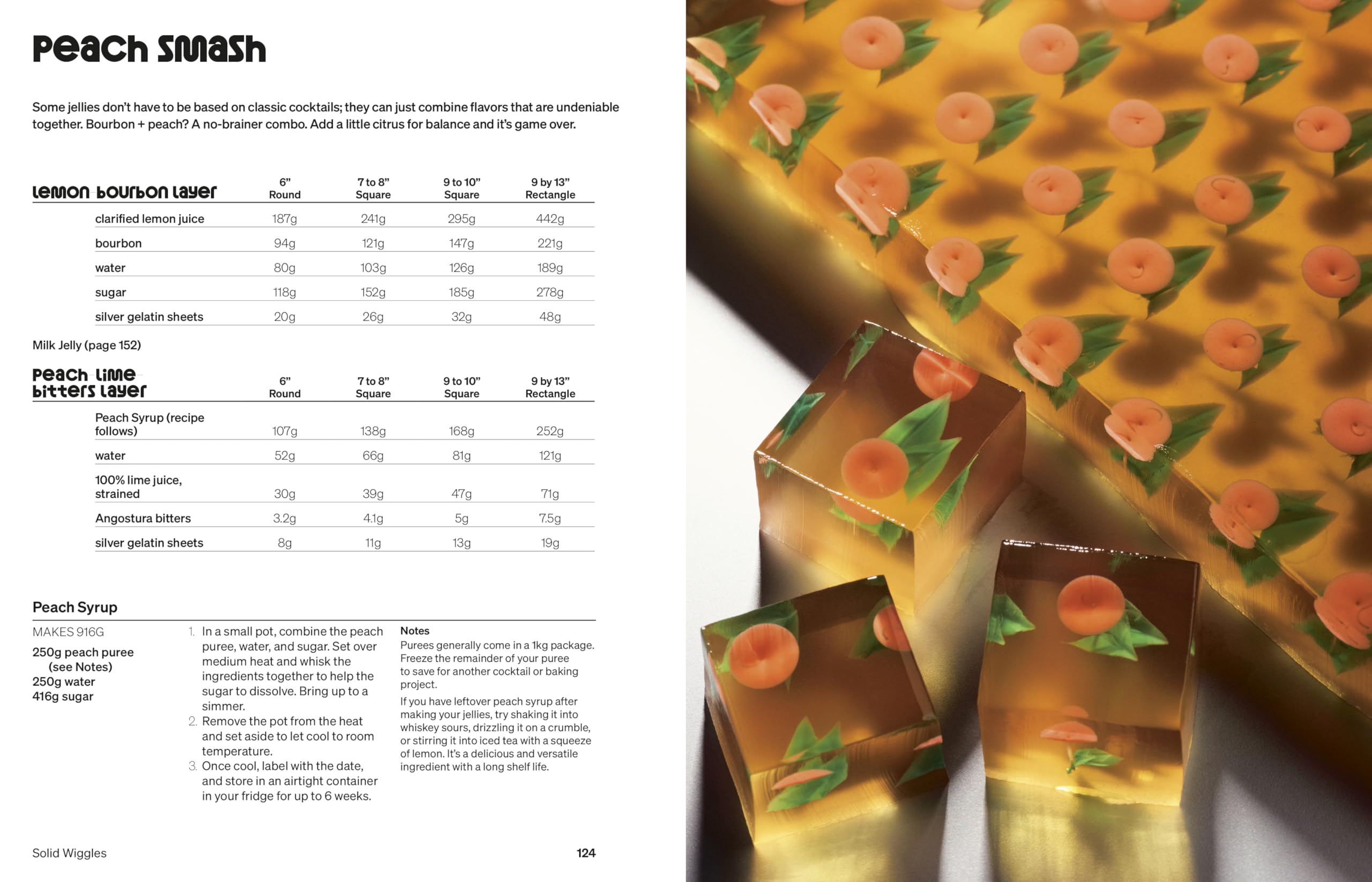 Solid Wiggles /anglais: Recipes and Techniques for Phenomenal Jelly Shots and Cakes