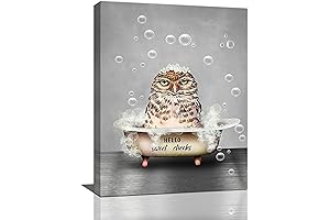 Owl Pictures Wall Decor