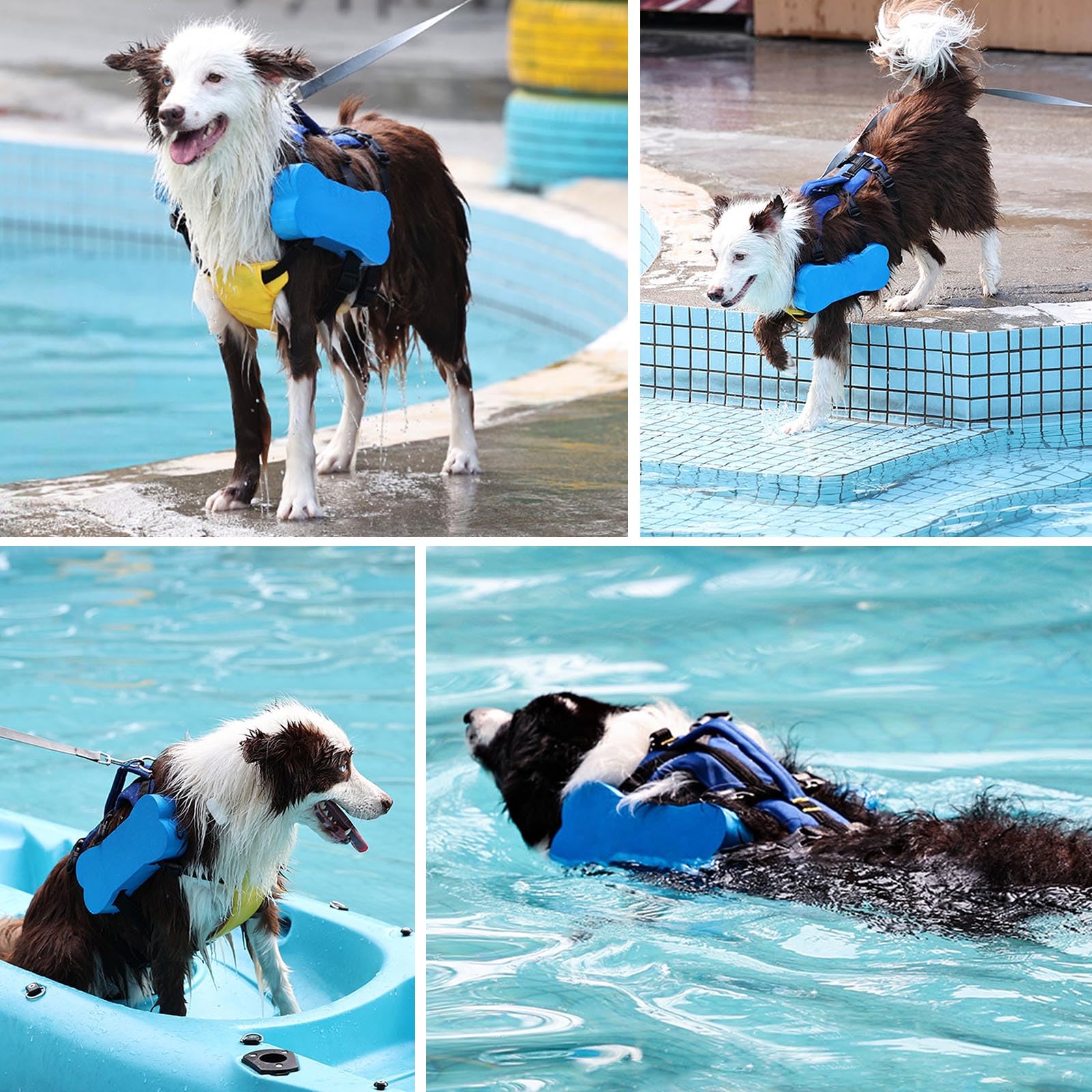 Gilet de sauvetage pour chien - Ceinture réglable - Dispositif de flottaison pour natation et bateau