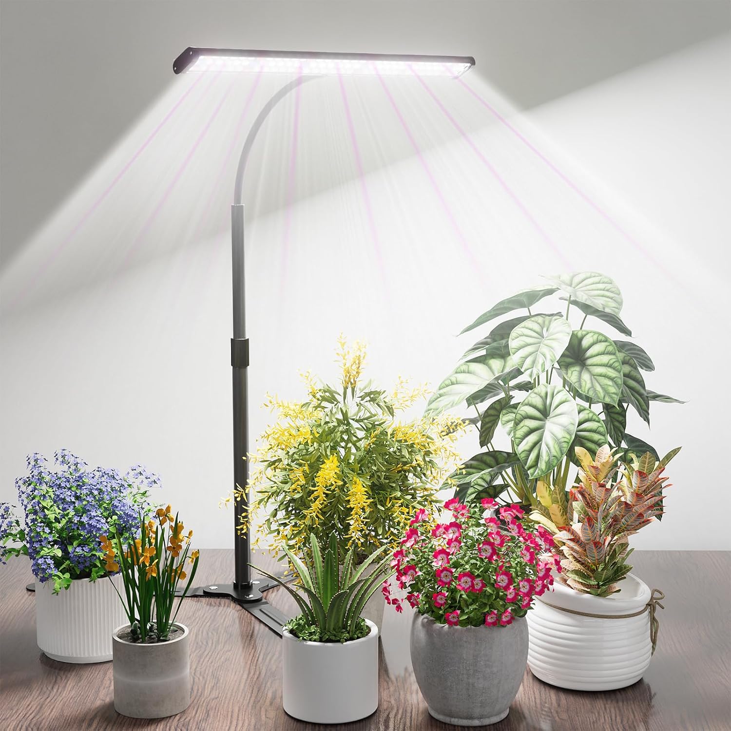 Super-Bright Grow Light for Indoor Plants, 6000K 108LEDs Full Spectrum Plant Lamp with Timer 4/8/12Hrs & Height Extendable for Home Office Desktop Plants, 12V 3A High Power Output for Faster Growth