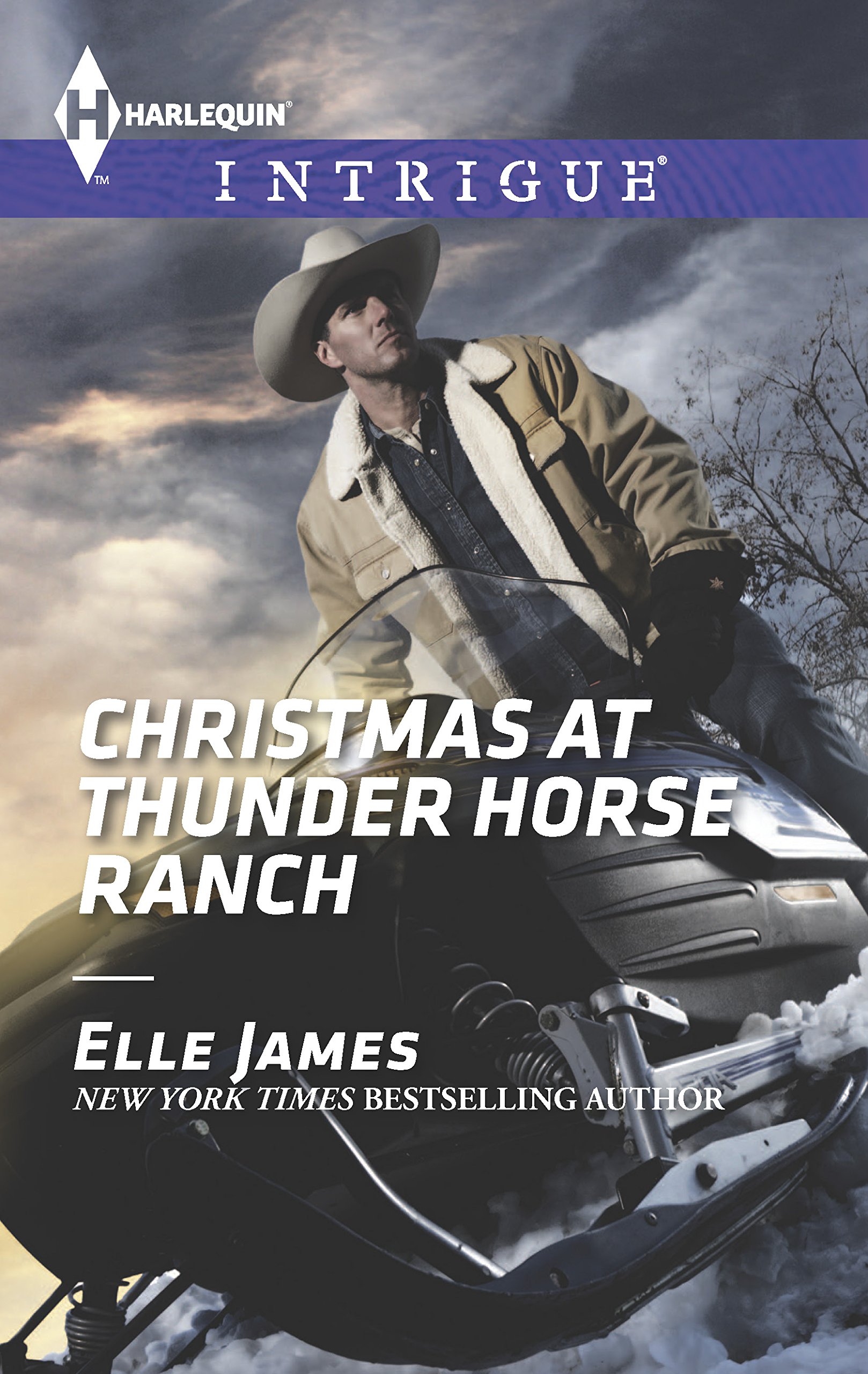 Christmas At Thunder Horse Ranch (Mills & Boon Intrigue)