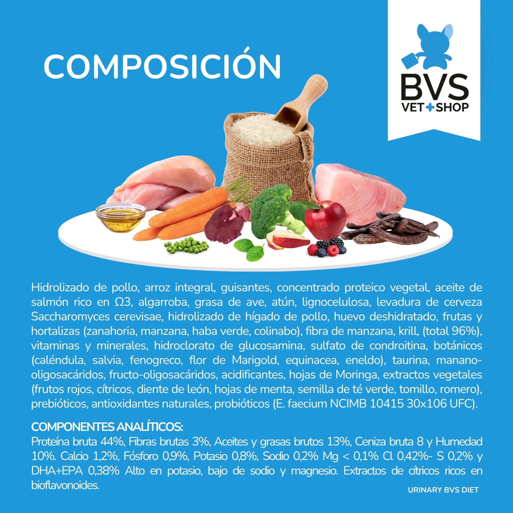BVS Vet Shop | Diet Gato Urinary | Pienso de prescripción destinado a Reducir la formación de cálculos de estruvita | 2 x 12 kg