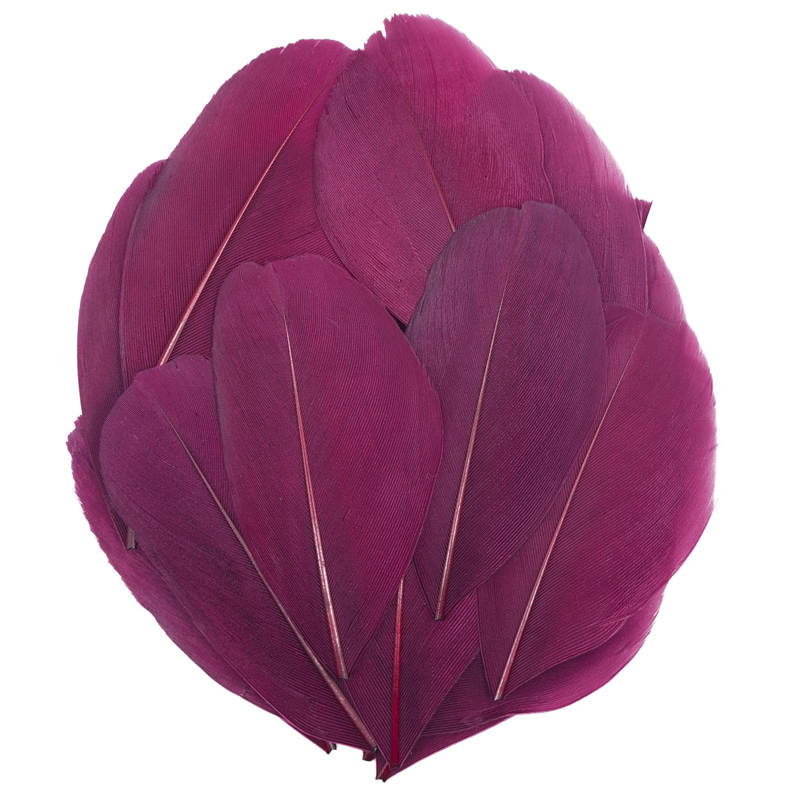 Plumas rojas oscuras para manualidades, plumas de ganso naturales pequeñas de 2 a 3 pulgadas