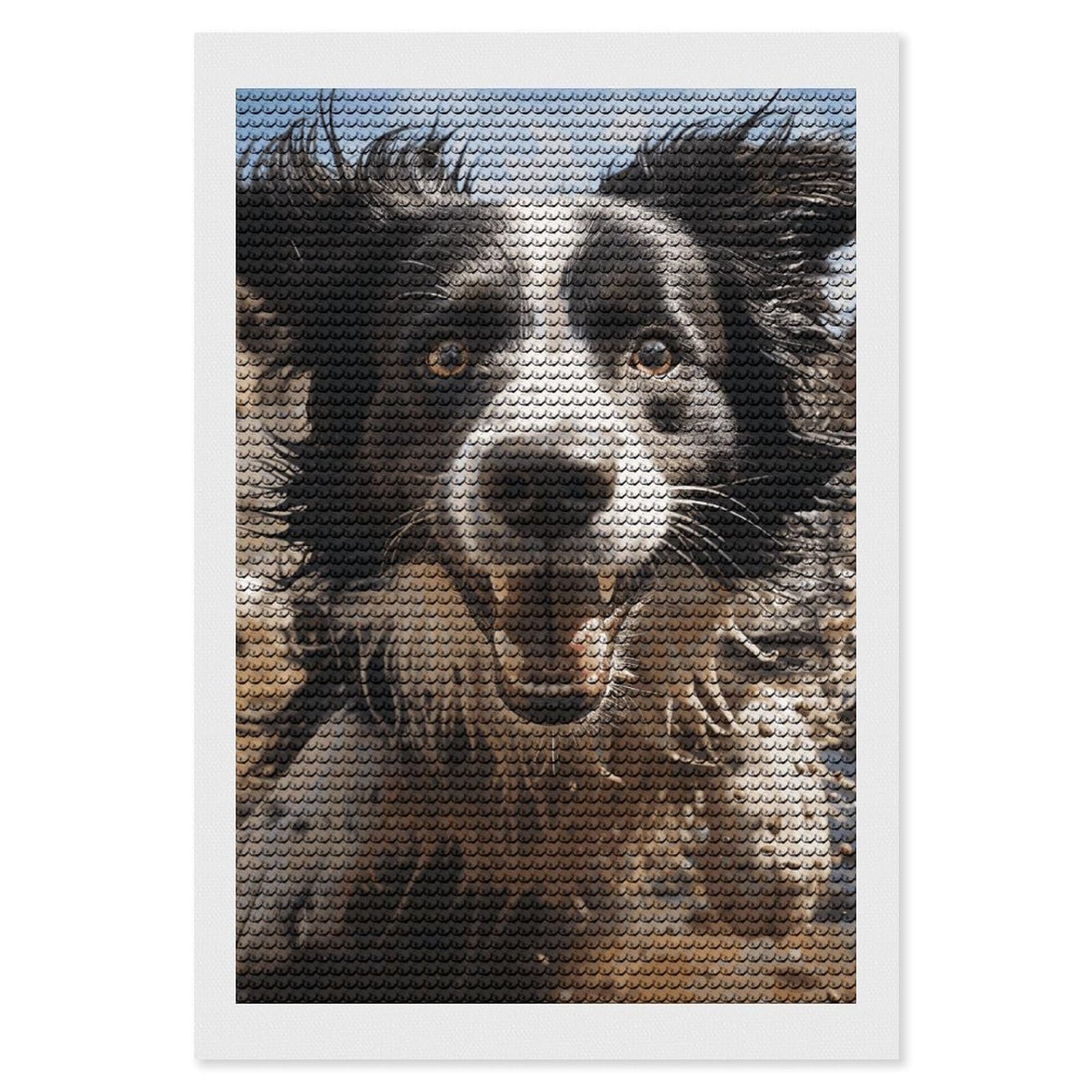 DWVTSLH Pastor Border Collie Diamond Painting Kits for Adults, Personalized Diamond Photo Art Full Drill, DIY 5D Diamond Art Painting Kits for Beginners, Home Wall Decor 8"x12"