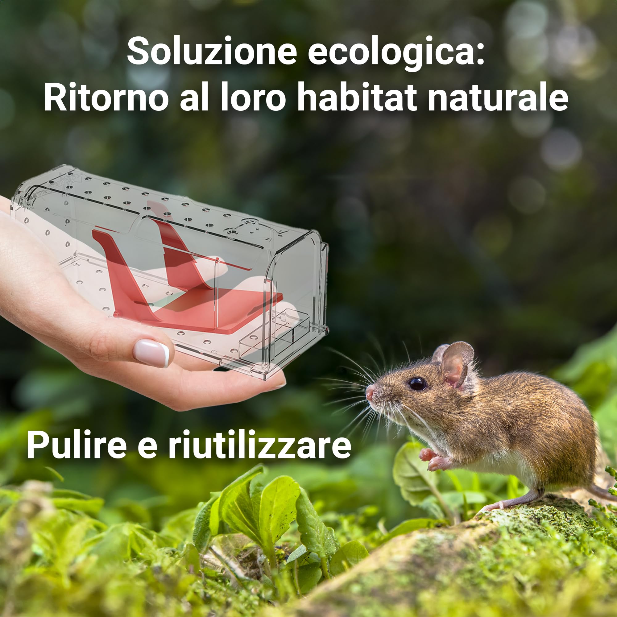Roshield – 2 x Trappole umane per la cattura di topi (non adatte ai ratti), per uso interno ed esterno. Riutilizzabili, cattura rapida e altamente sensibile