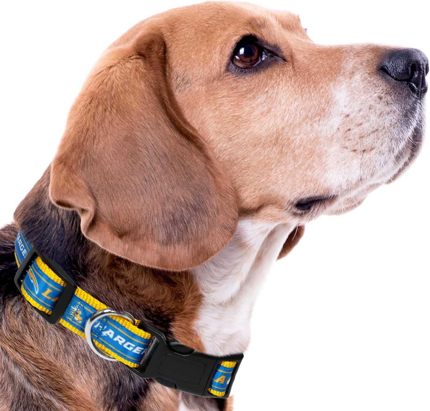 Pets First NFL Los Angeles Chargers Licensed PET COLLAR, Small - Heavy-Duty, Strong, and Durable Dog Collar. Available in 31 Football Teams and 4 Sizes image 3