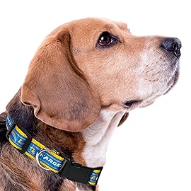 Pets First NFL Los Angeles Chargers Licensed PET COLLAR, Small - Heavy-Duty, Strong, and Durable Dog Collar. Available in 31 Football Teams and 4 Sizes