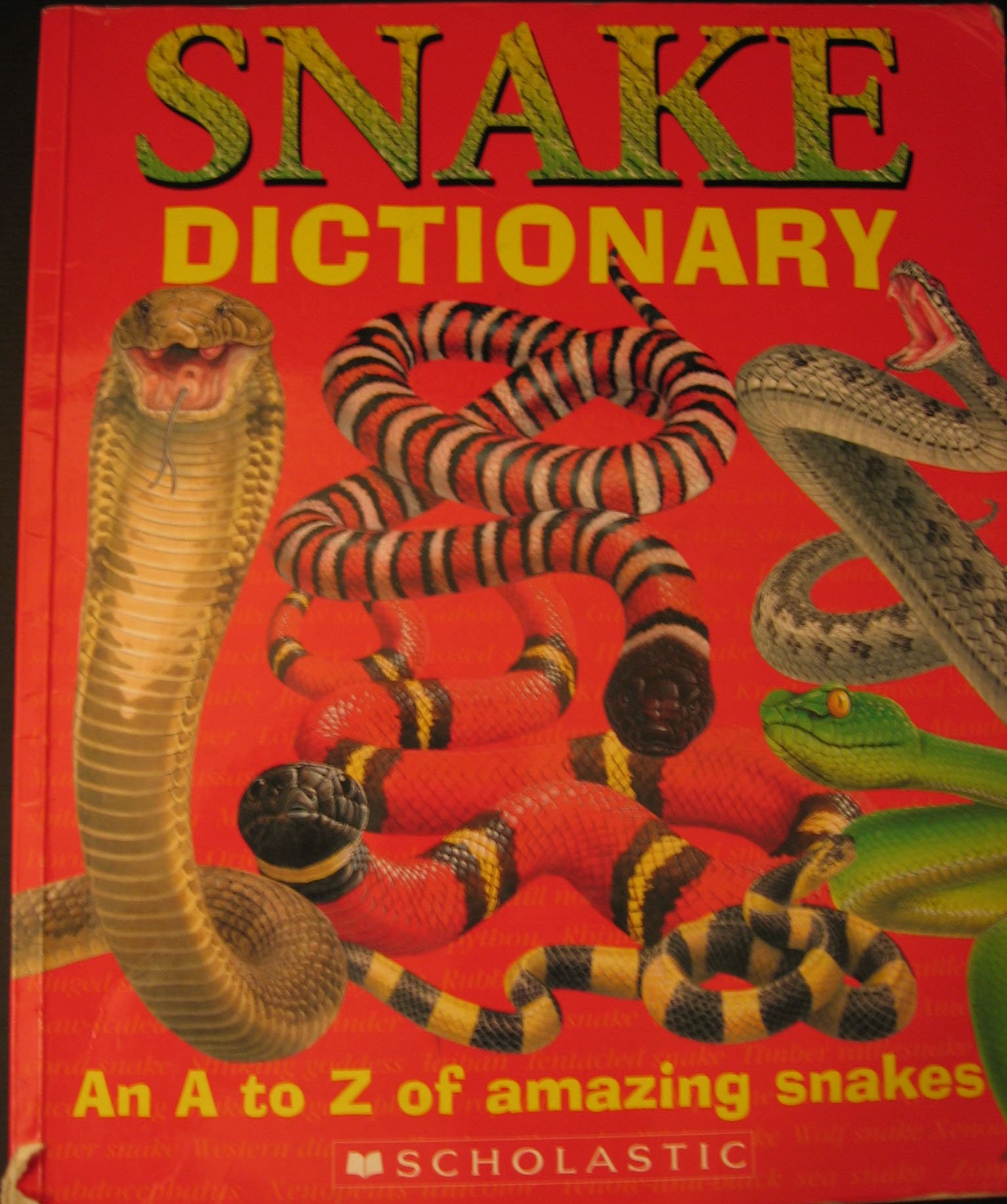 Snake Dictionary: An A to Z of Amazing Snakes: Clint Twist ...