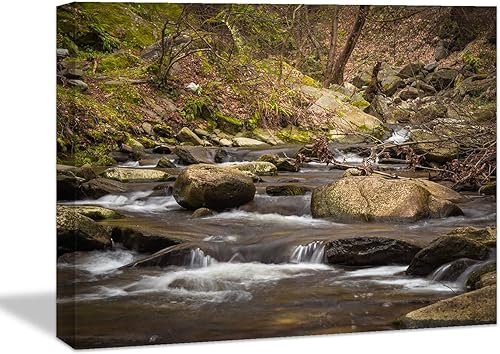 Looife Lienzo decorativo para pared, 24 x 16 pulgadas, arroyo de montaña con árboles, decoración de pared para sala de estar y dormitorio, pintura
