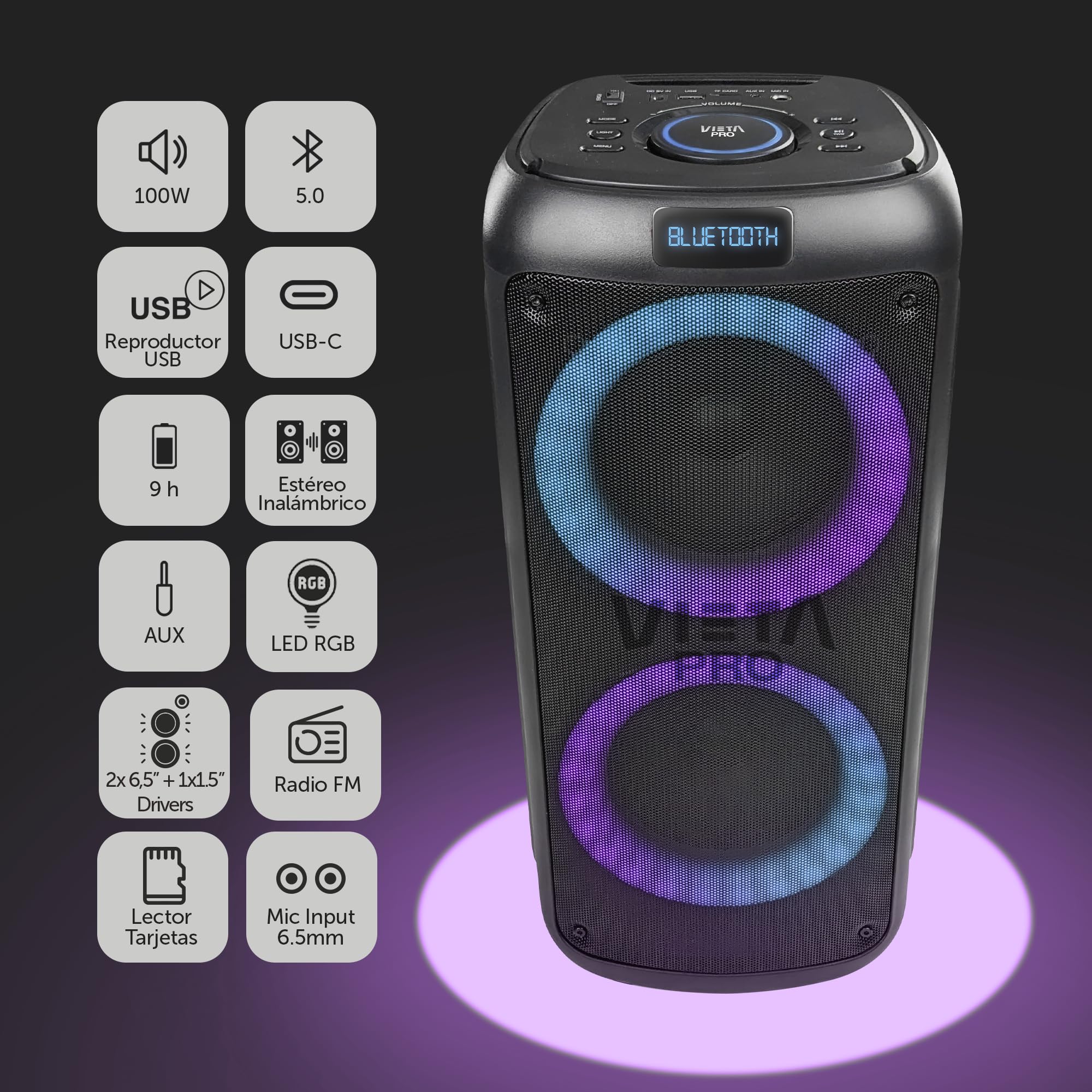 Vieta Pro Altavoz Bluetooth Potente Grande de 100 W, 9H de Batería, Radio FM y Luces Led RGB. Altavoces Autoamplificados Grandes Karaoke, USB TWS, Aux-In, Entrada de Micrófono Party 2