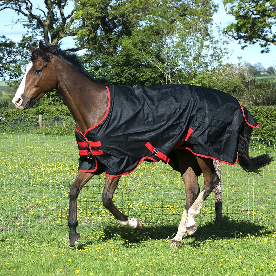 GS Equestrian 600D 0g Fill Waterproof Turnout Rug GSE425 (6'6, Black/Red Trim)