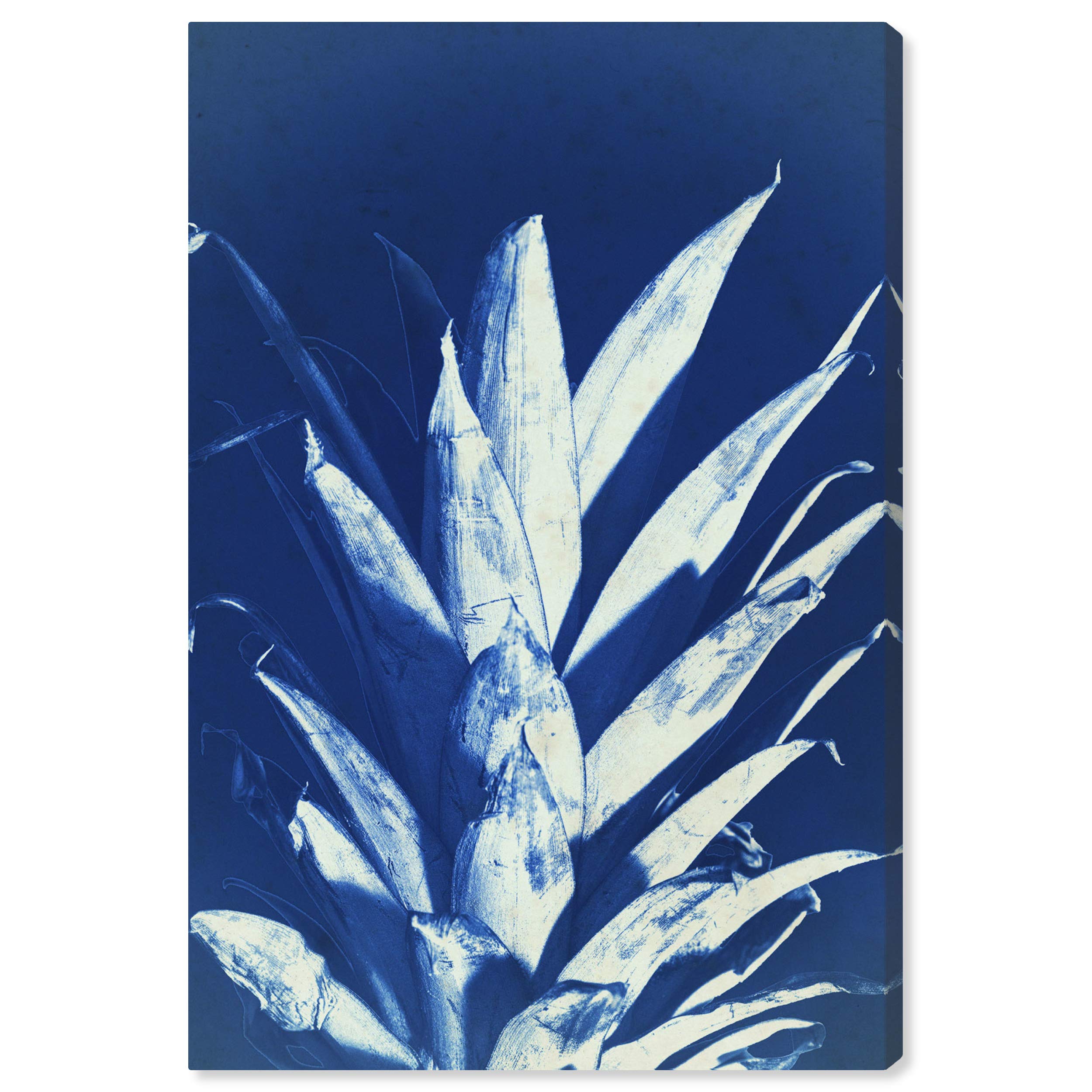 Amazon.com: The Oliver Gal Artist Co. Kitchen Food Wall Art Canvas