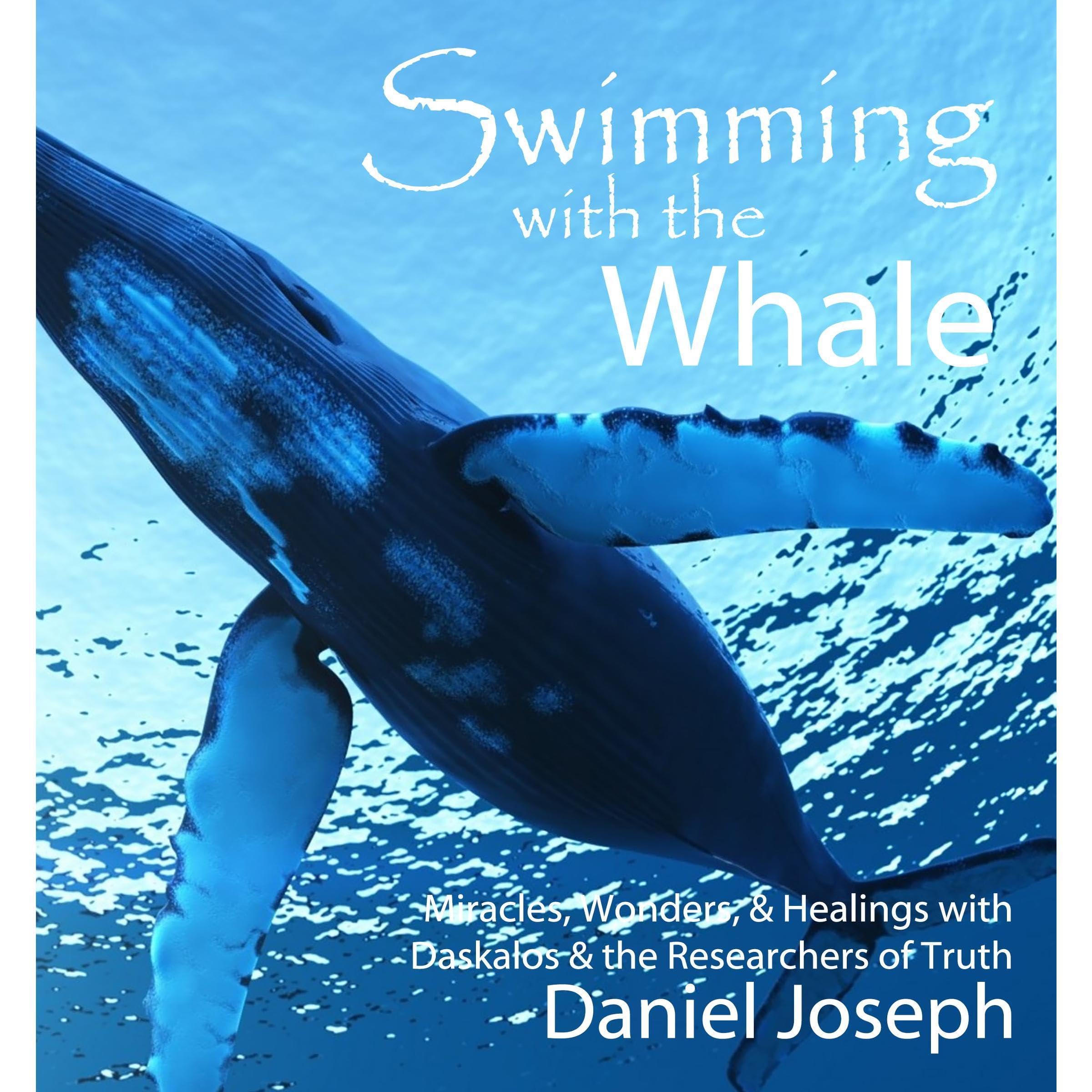 Swimming With The Whale