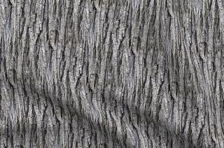 Spoonflower Fabric - Bark Wood Grain Forest Tree Nature Photographic Printed on Chiffon Fabric Fat Quarter - Sewing Fashion Apparel Dresses Home Decor