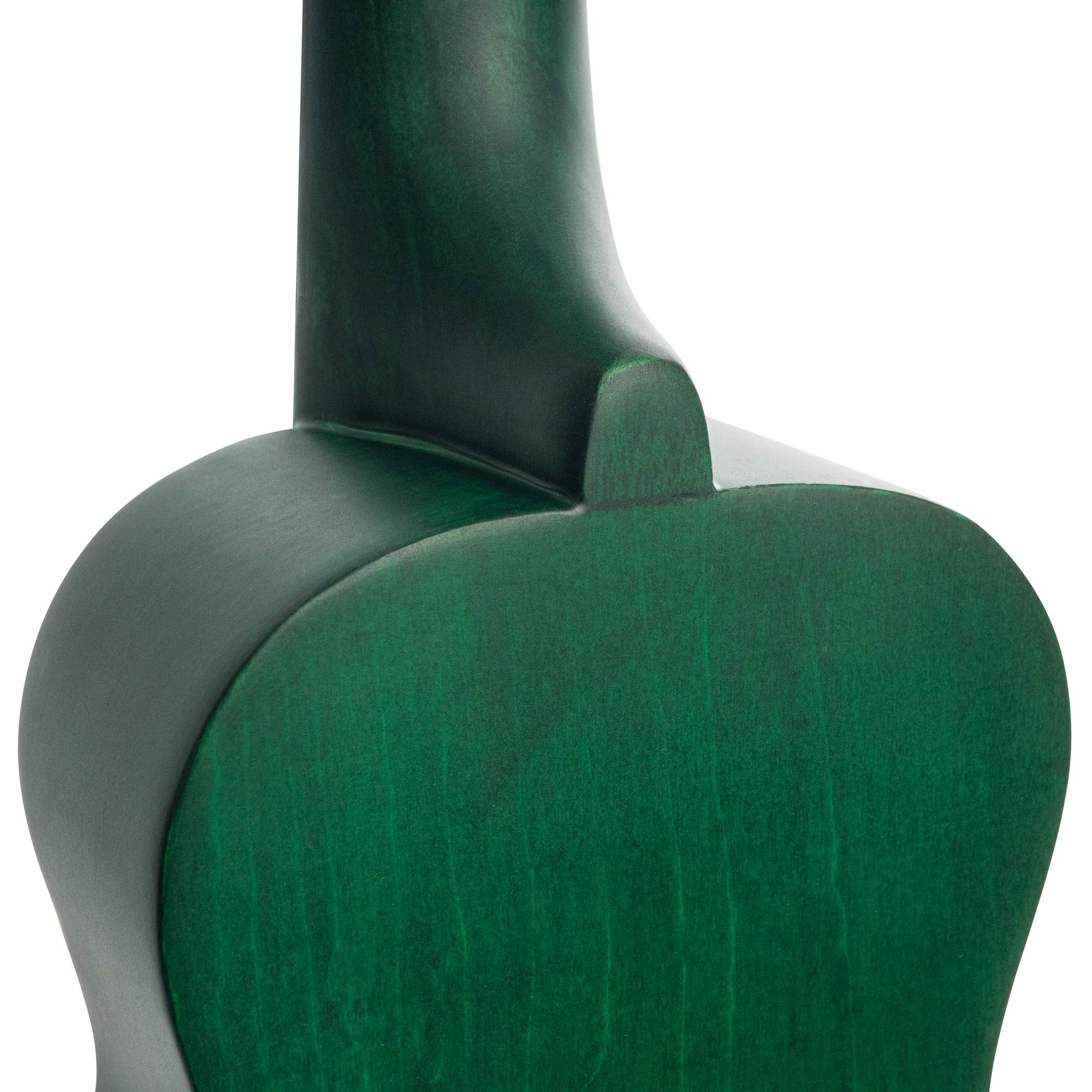 CASCHA Set de ukelele soprano holandés – para niños y adultos I Kit de iniciación con 3 púas de funda holandesa y afinador DVD I cuerdas Aquila Nylon I Guitarra Hawaii pequeña verde