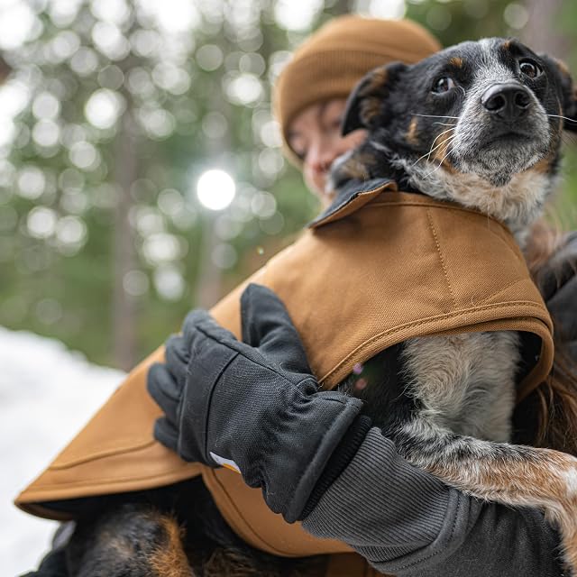 Foto 6 de 6 de Carhartt Firm Duck - Abrigo para Perro, Chaqueta Aislante Resistente a la Intemperie para Condiciones frías…
