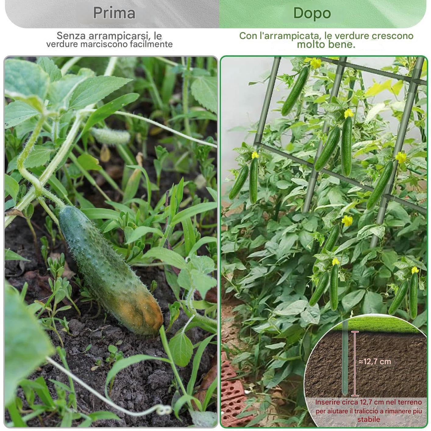 Enrejado Para Pepinos En Cama Elevada Soporte en U de alta resistencia | Enrejado Metálico De Jardín Para Pepinos Para berenjena, guisante, uva, flores, calabaza, cultivo en invernadero y agricult