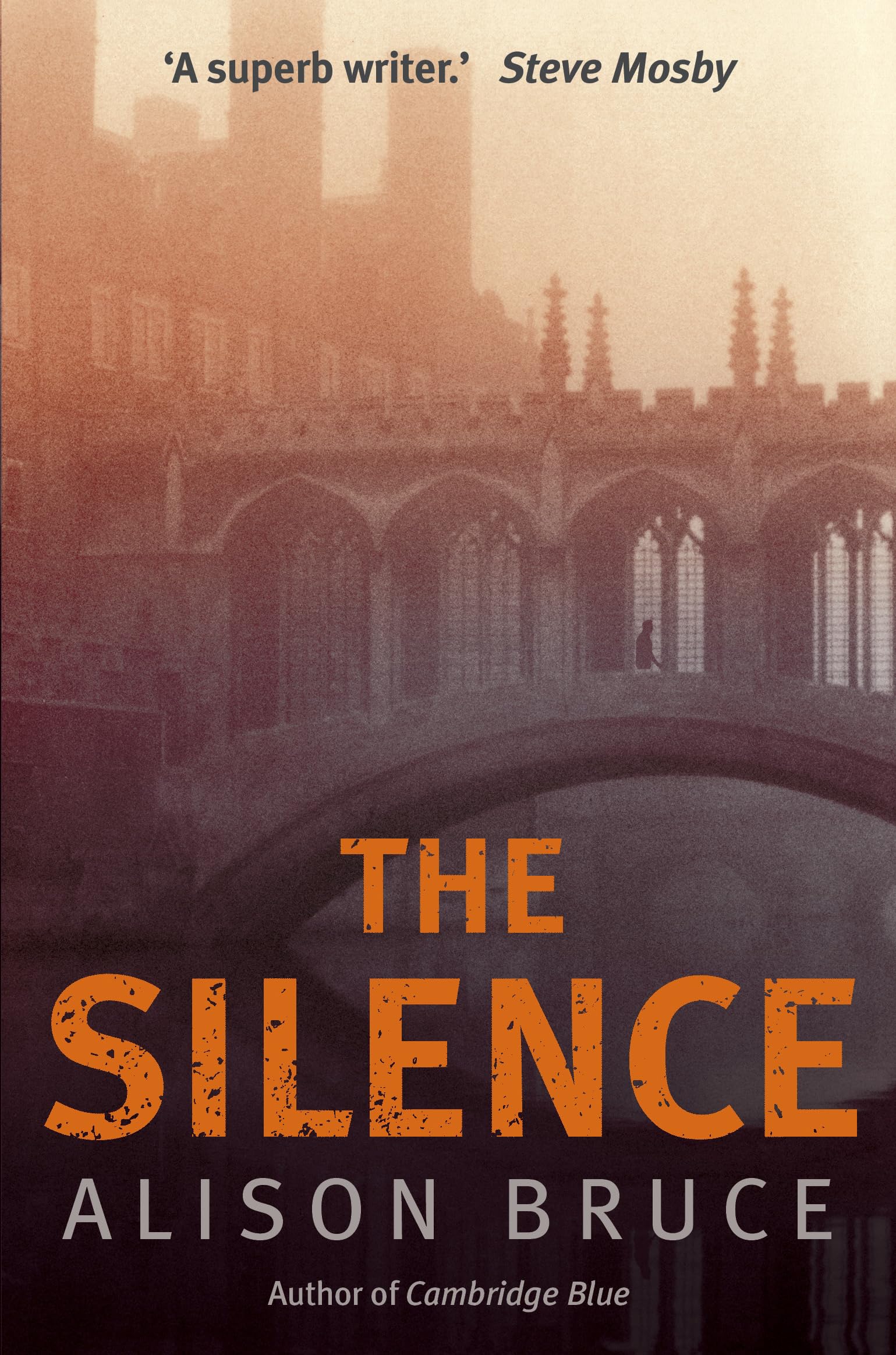 The Silence by Alison Bruce (Paperback, 2013)