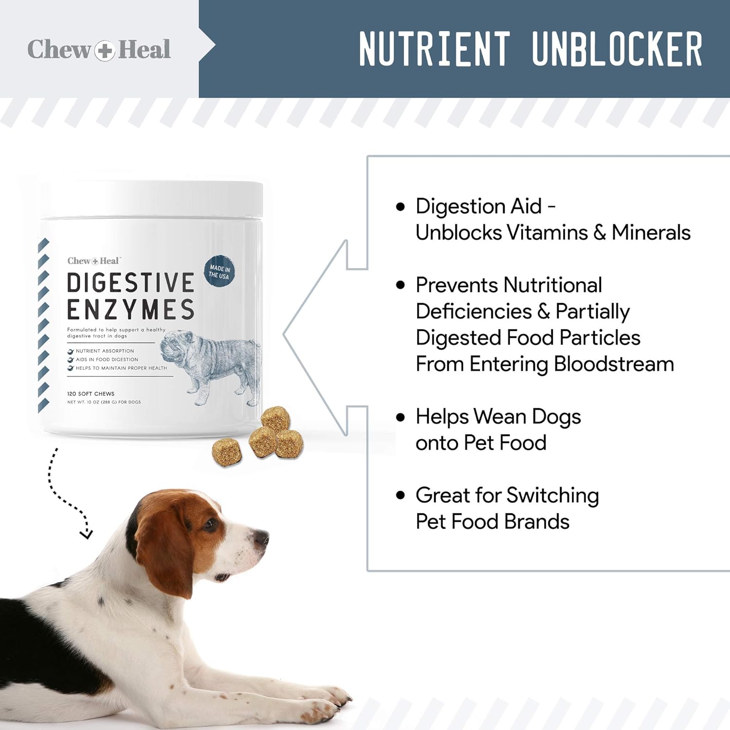 Buy Chew + Heal Digestive Enzymes with Probiotics for Dogs 120 Soft
