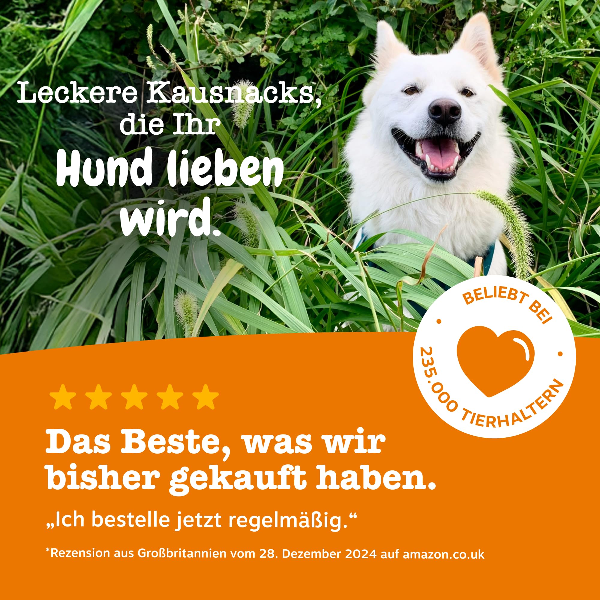 Zesty Paws Anti-Itch für Hunde – Hilfe bei juckender Haut, Pfoten & Ohren – Gegen Lecken & Kratzen – Unterstützt Immunsystem & Verdauung – Mit Lachsöl & Probiotika – 90 Soft Chews