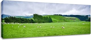 Sheep Grazing Canvas Wall Art. Green Landscape New Zealand Photography Print.
