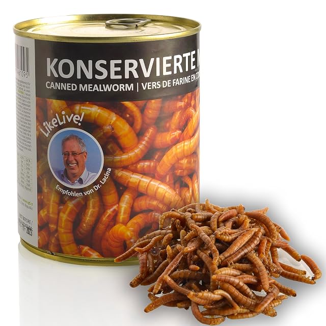 UGF - Gusanos de harina Secos, 490 g, conserva, Aperitivos para pájaros, hámsteres, erizos, roedores…
