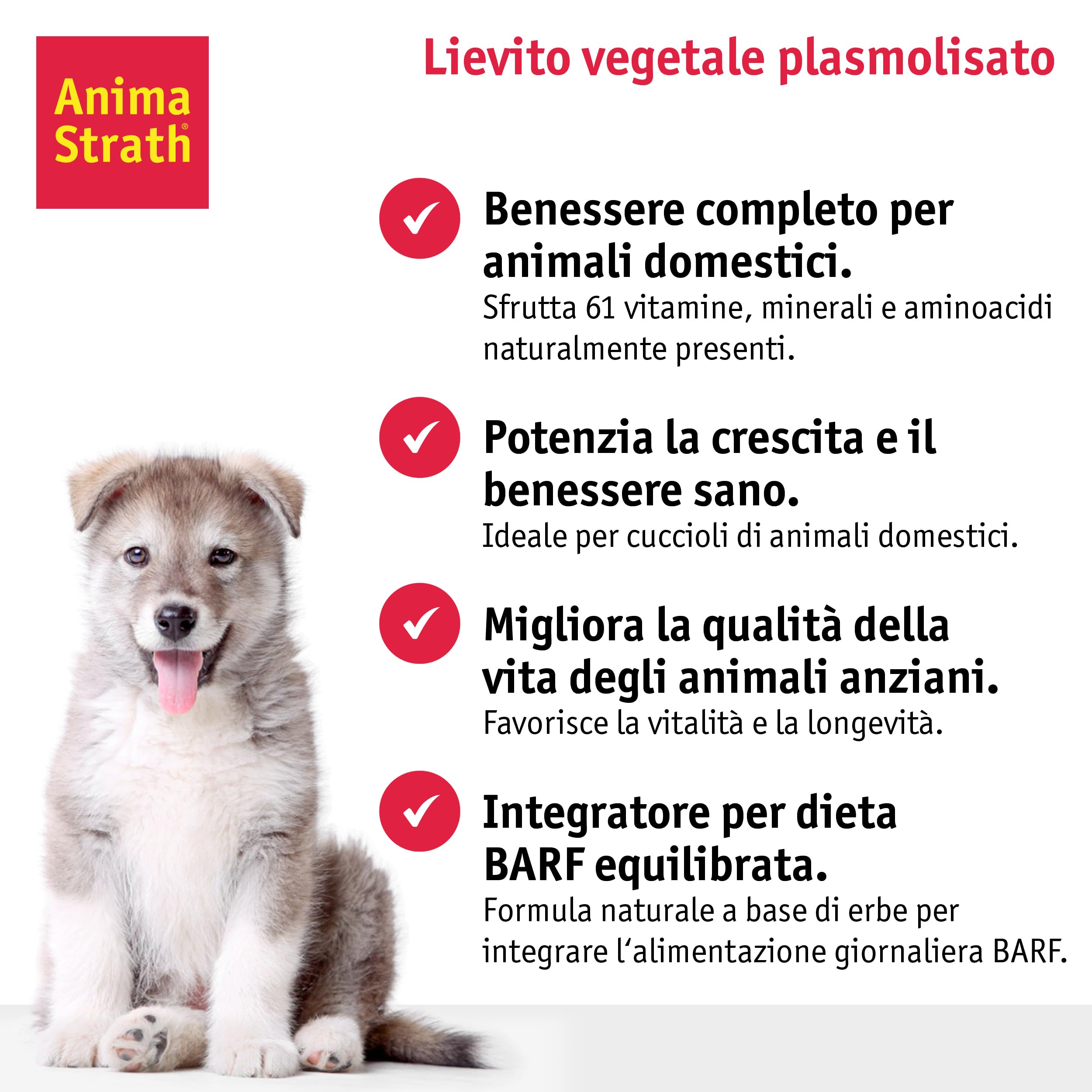 Anima Strath Granulato - 61 Micronutriementi, Integratore Alimentare di Lievito Vegetale Per Cani & Gatti - Vitamine per Alimenti per Cani - Vegetariano - 500g