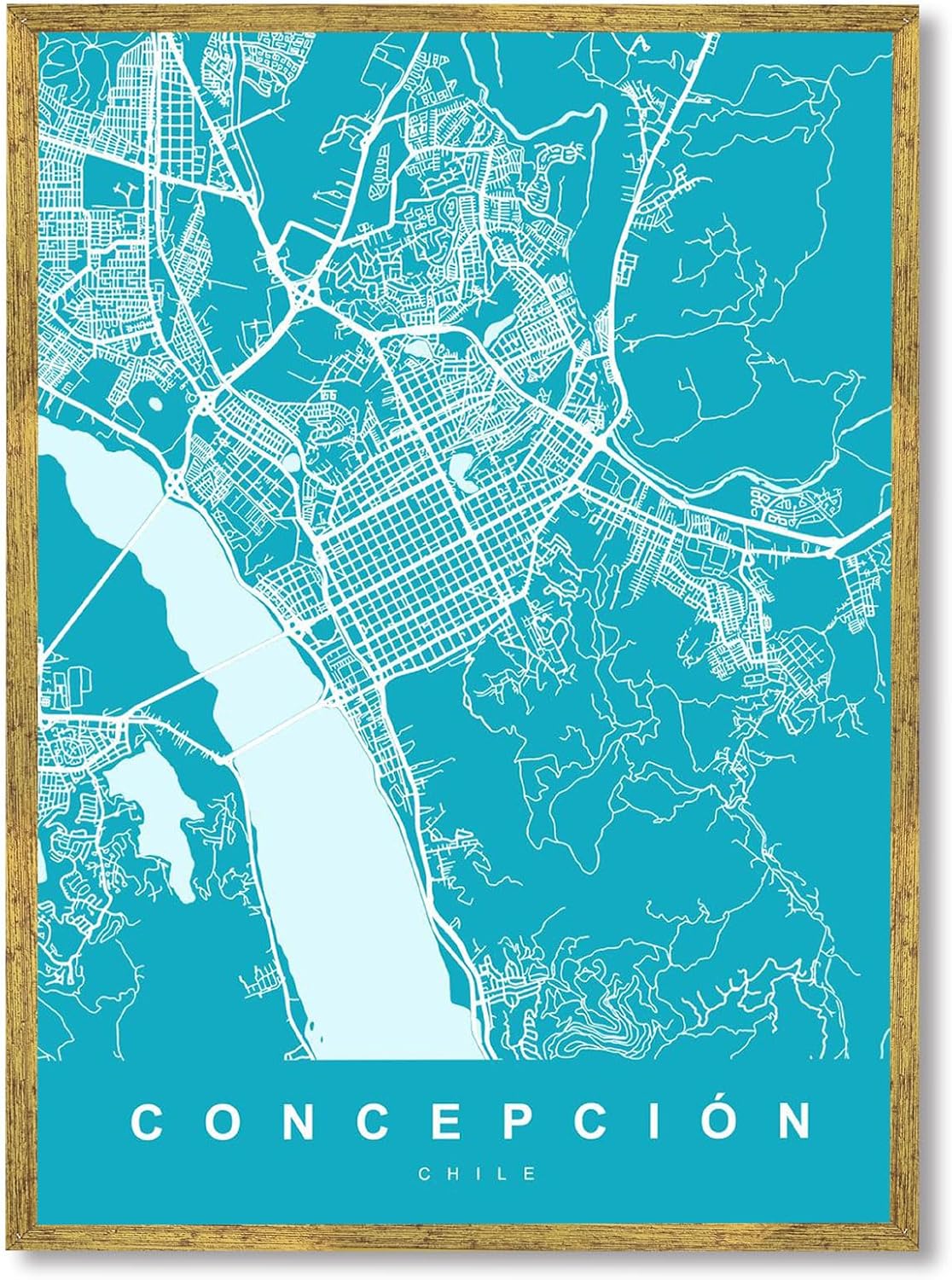 Framed Concepcin Chile Map Poster Canvas Print Art Minimalist Aesthetic Painting Pictures Wall Decor Home Decor Art Print Trendy Wall Art for Living Room Office (Wood Framed,12L x 16W)