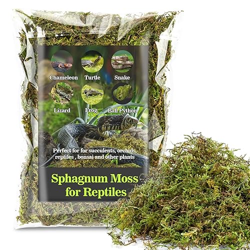 Sukh Sphagnum Moss for Reptiles - Terrarium Reptiles Moss Green Dried Peat Moss Habitat Bedding Moss for Snakes Turtle Frog Gecko and Other Reptiles Substrate (5, Ounces) - 5 Ounces