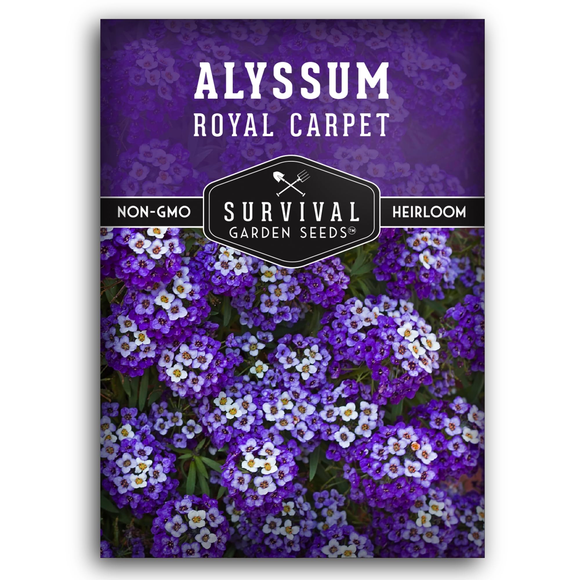 Alyssum Seeds for Planting - Sweet Royal Carpet Purple Alyssum - Fragrant Perennial Flower & Ground Cover - Heirloom Non-GMO - Survival Garden Seeds (1 Pack)