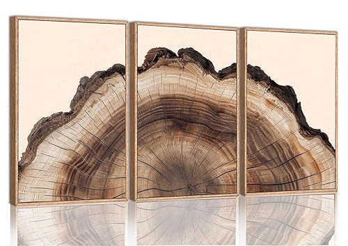 okudolit Tree Rings Canvas Wall Art Set Large Framed Modern