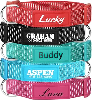 Personalized Name and Number Printed Dog Collar, Adjustable Custom Reflective Collars with Buckle for Small Medium Dogs, 5 Colors and 5 Fonts for Male Female Boy Girl Puppies