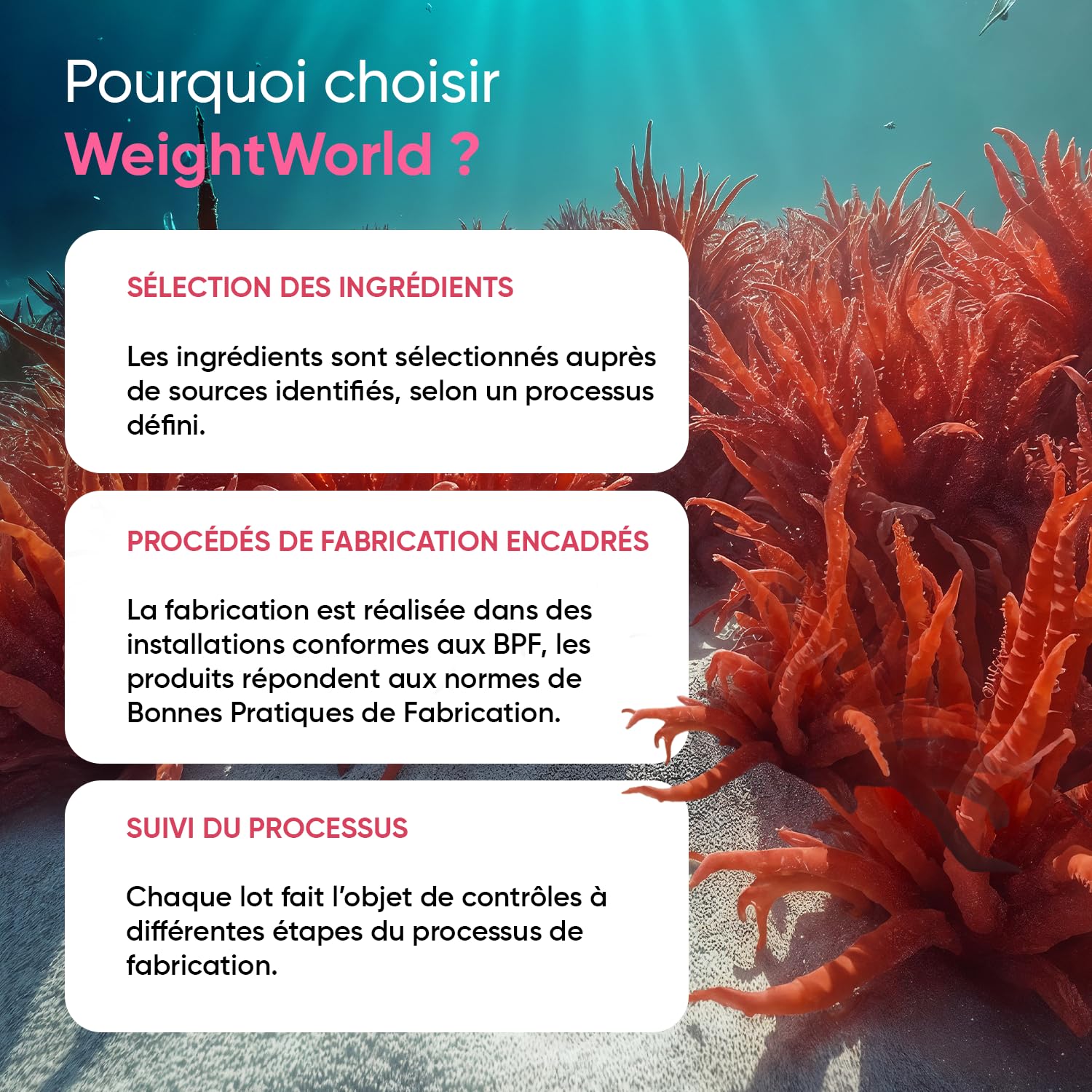 Astaxanthine Naturelle, 240 Gélules Molles Vegan pour 8 Mois, Issue d'Algue Marine Haematococcus Pluvialis Astaxanthine Vegan, sans Gluten et sans Stéarate de Magnésium