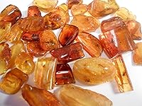 Vista 4 de Auténtica resina de ámbar báltico fósil con inclusión de insectos de Lituania con lupa gratis, soporte de exhibición acrílico, hoja informativa