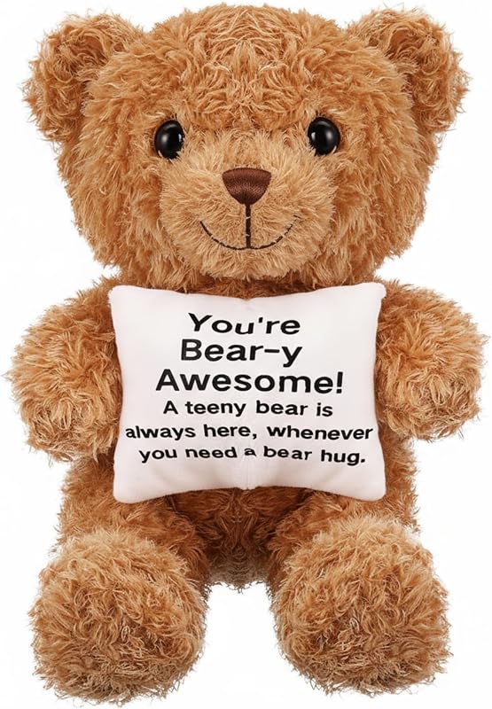 Hollowfly 11.8 Inch Teddy Bear Pillow with Positive Messages Cute Stuff Active Support Gifts Motivational Gifts for Women Men Coworker Birthday Home Decor