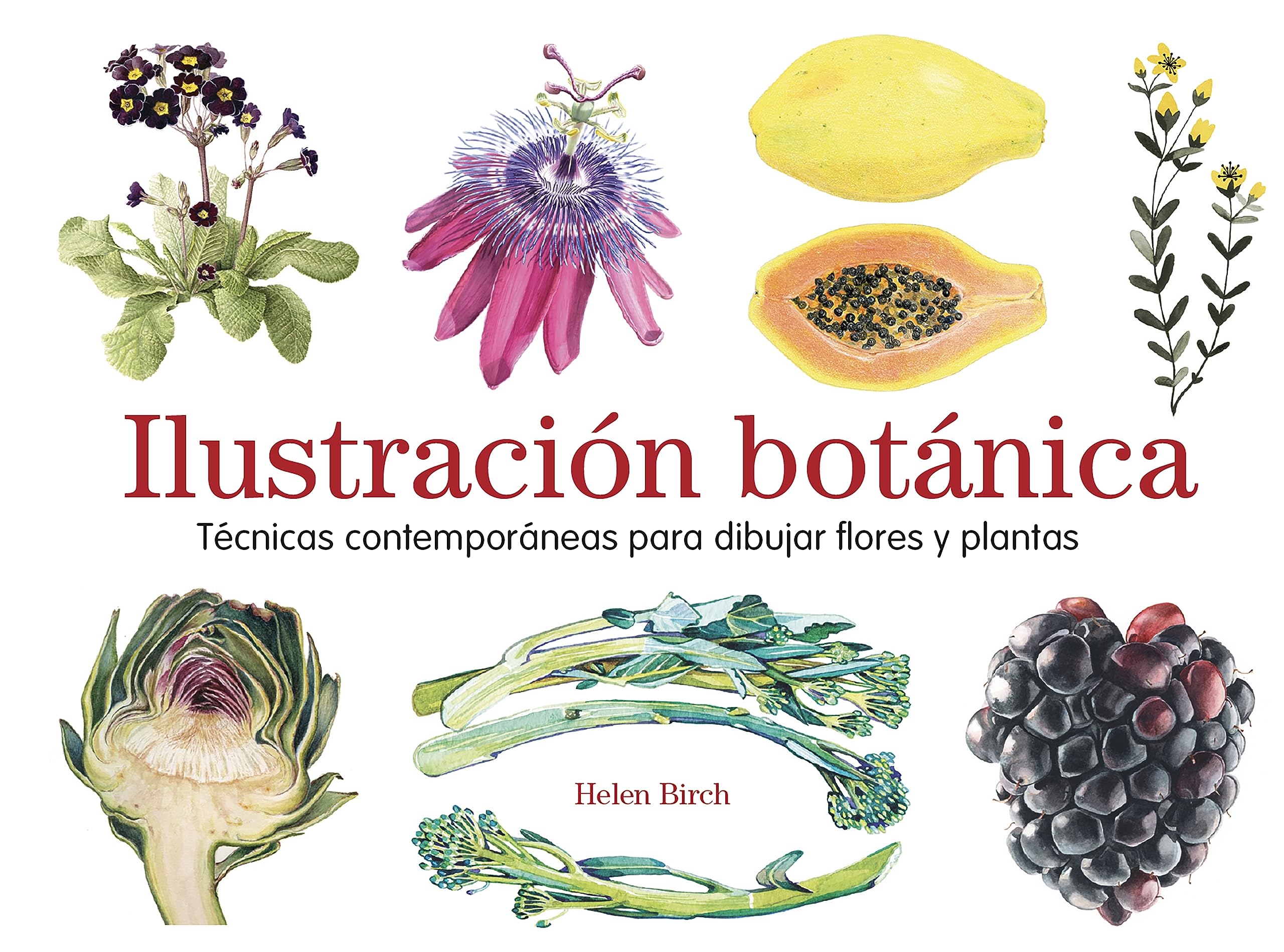 Apprendre le dessin de fleurs avec ce livre d'illustration botanique en espagnol