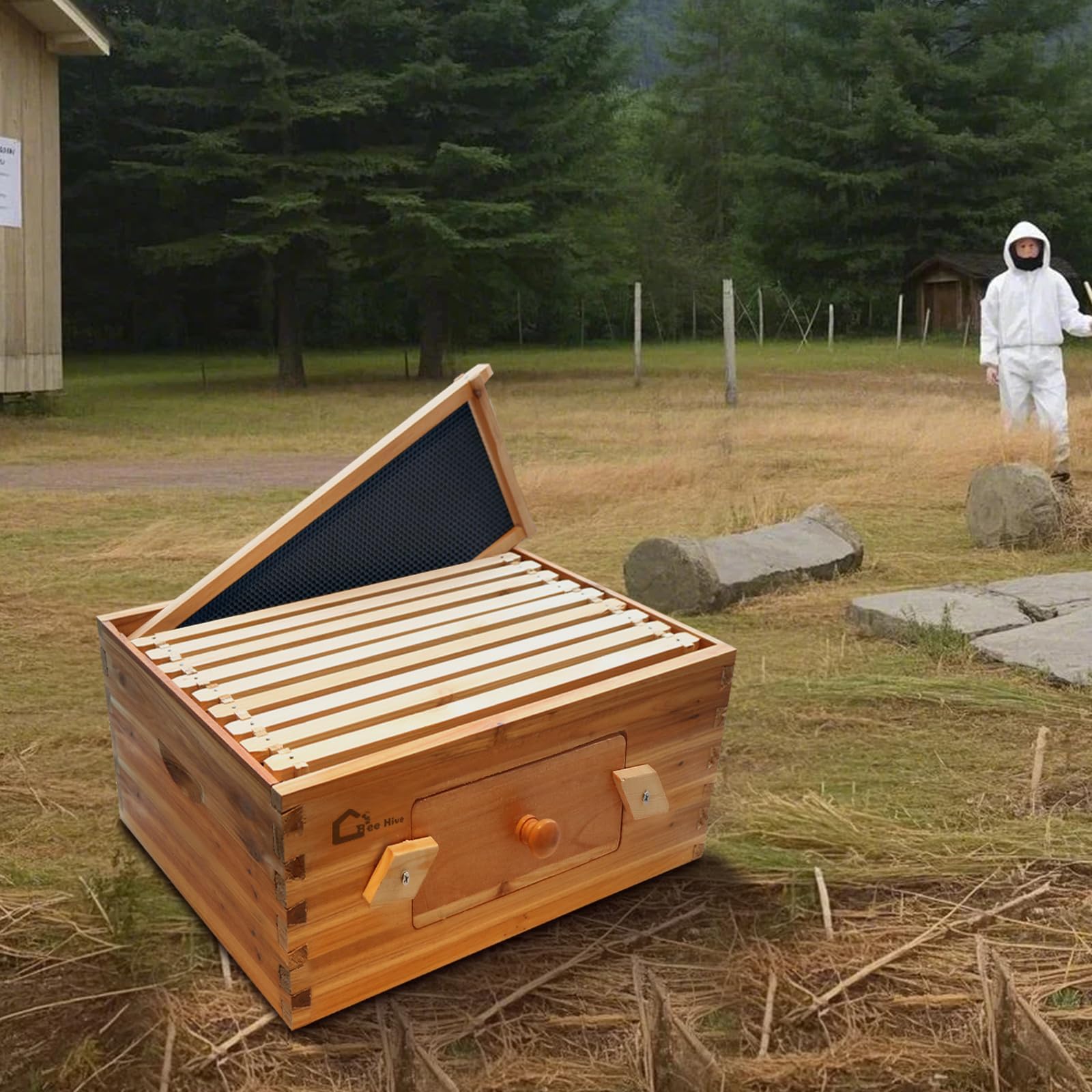 Bienenstock-Starterset, Ablegerkasten mit 10 tiefer Waben, Massivholz Beute mit Holzrahmen und gewachstem Fundament, Bienenstockkasten Nachhaltig Imkereibedarf, Bienenhaus transparenten AcrylfensternA