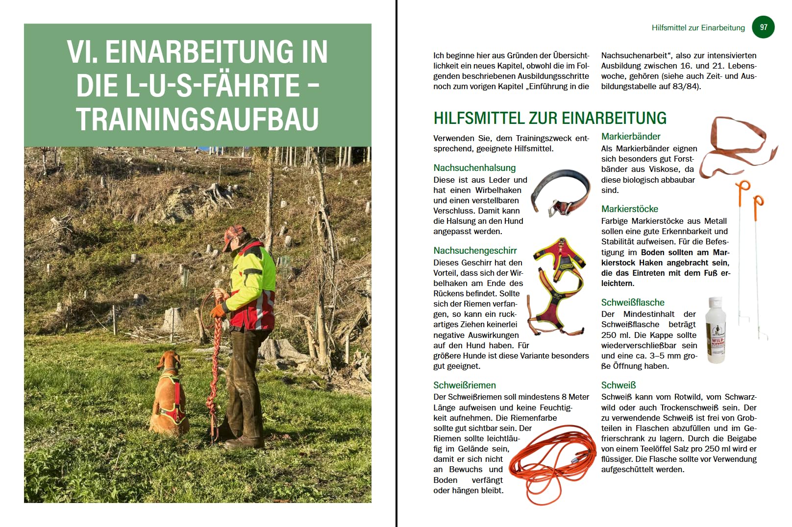 Jagdhunde ausbilden: Vom Grundgehorsam bis zum Training für die Nachsuche