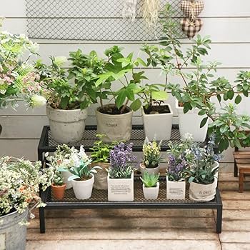 Amazon.co.jp: ルームアンドホーム フラワースタンド 観葉植物