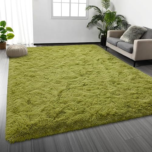 Shag Area Rug, 4 X 6 Tie-Dyed Plush Fuzzy Rugs for Living Room, Ultra Soft Fluffy Furry Rugs for Bedroom, Anti-Skid Indoor Carpet Nursery Rugs for Kids Room Home Decor, Green