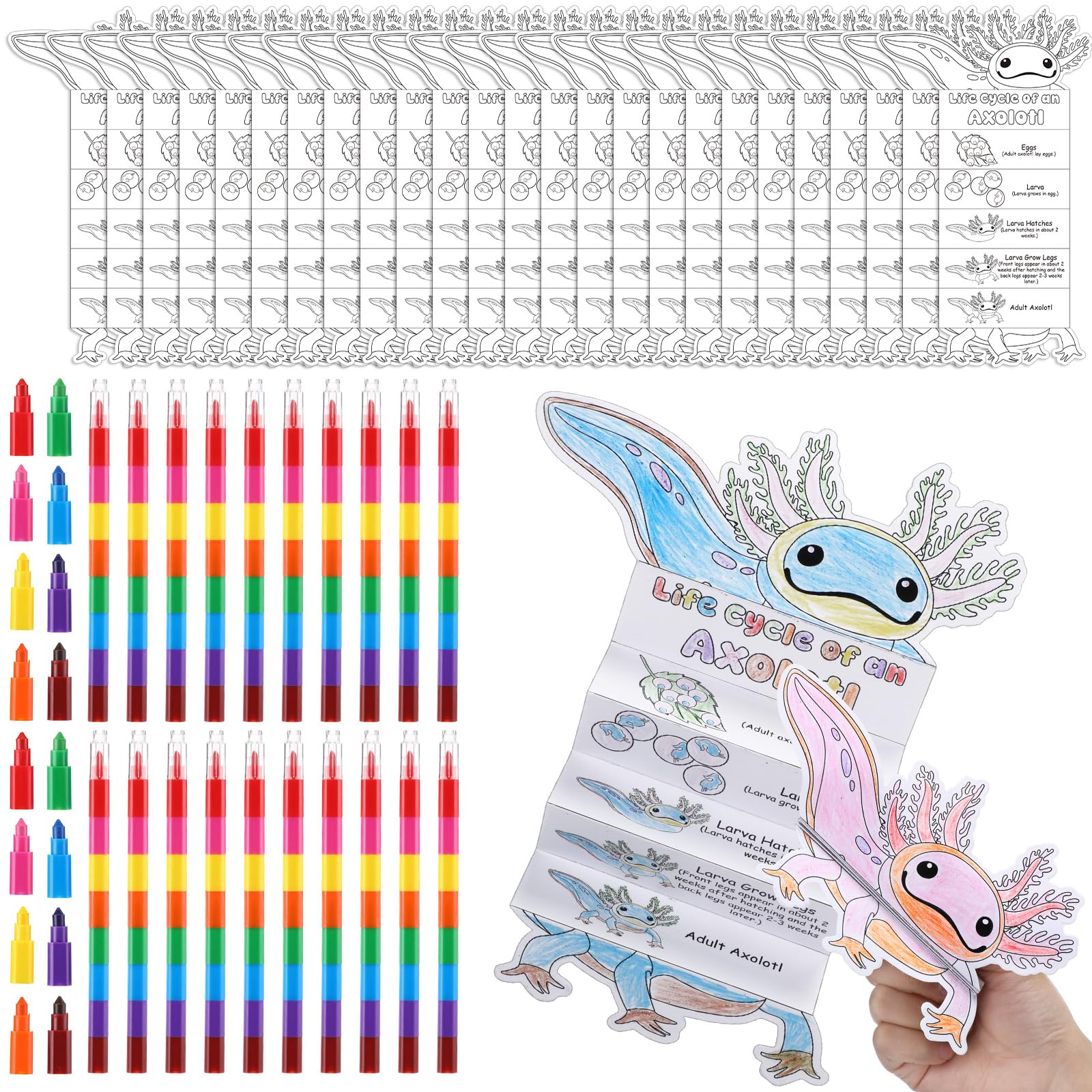 Saypacck 24 Set Axolotl Party Favors Axolotl Coloring Cards Amphibian Life Cycle Booklet with 24 Stackable Crayons for Birthday Party Gifts Home