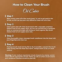 Vista 8 de Silver Brush Limited 8036MD - Cepillo ovalado de paisaje jumbo plateado, murales grandes, caballete para pintores y muebles, tamaño mediano, mango