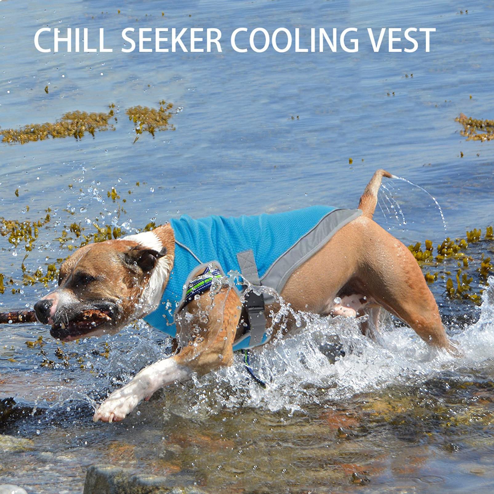 CUTTE Kühlweste für Hunde, Verstellbar mit Reflektierendem Streifen Haustierkleidung Angstlinderung Sonnenschutz Atmungsaktive Kühljacke für Hunde,Blue,XXL