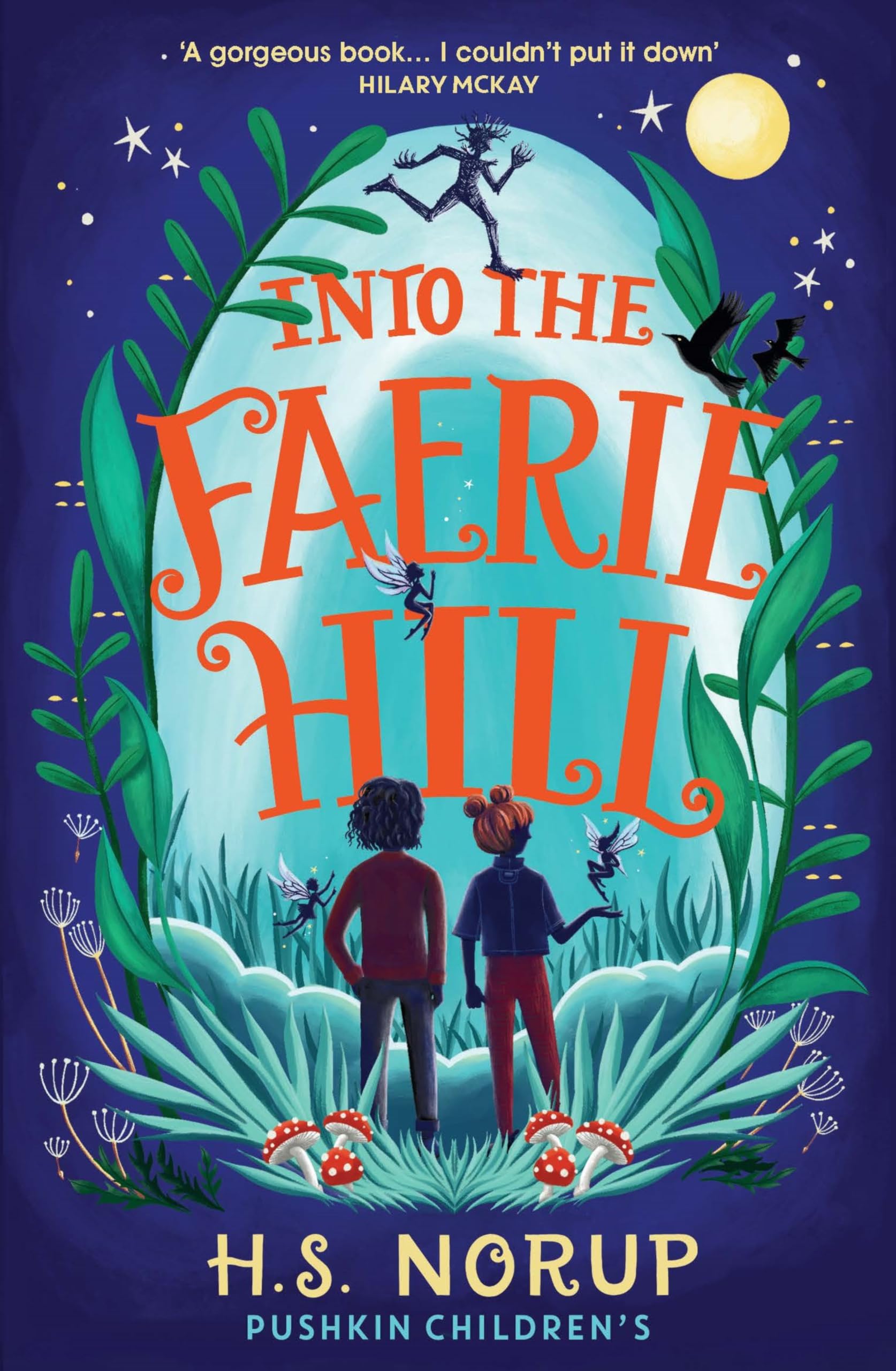 Into the Faerie Hill by H.S. Norup PAPERBACK 9781782693864