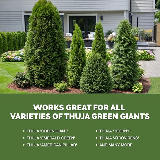 Fertilizante Líquido Thuja Green Giant 8 oz miniatura 5