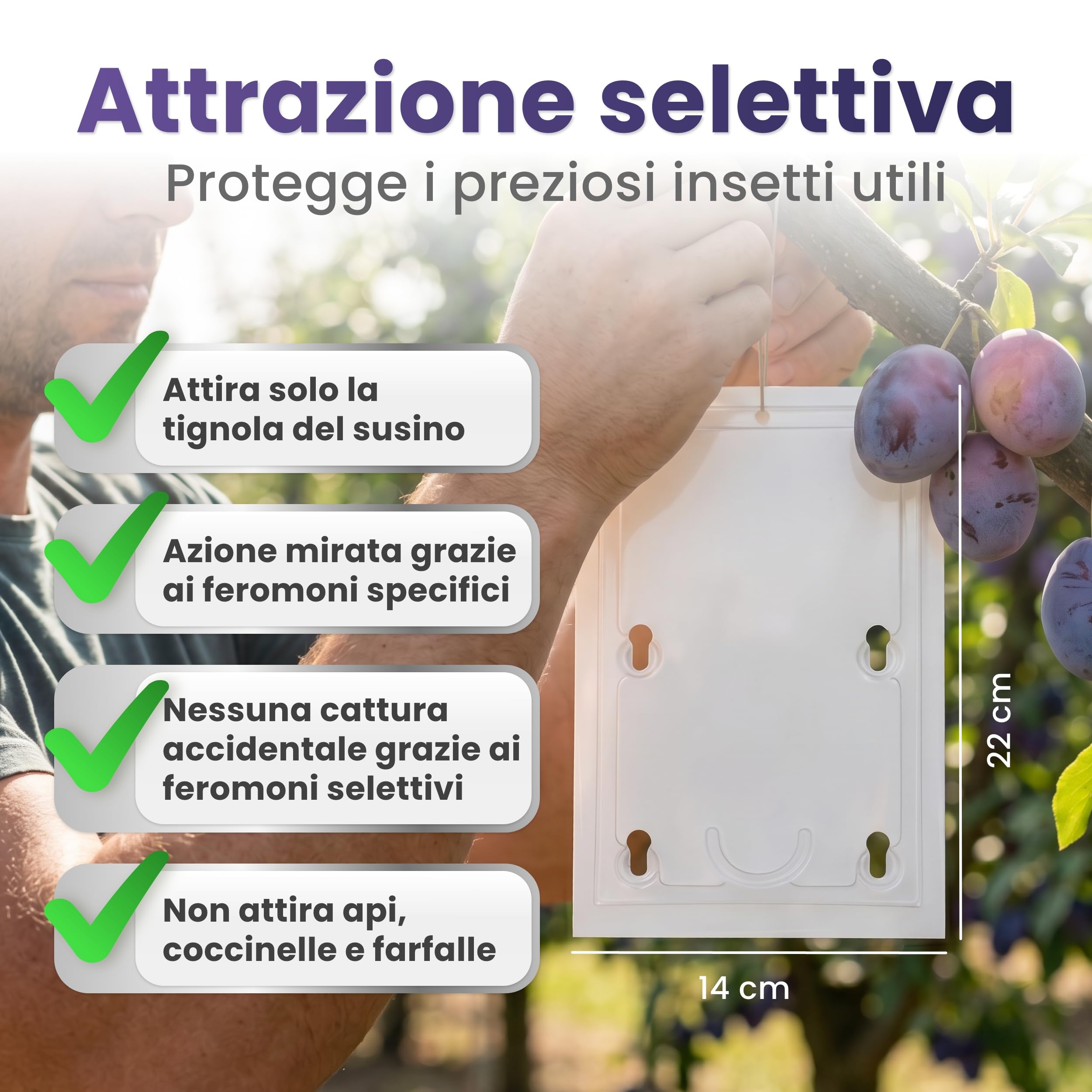 Trappola per prugne – Set di 2 trappole per prugne e alberi di prugne – Trappola per feromoni contro le mosse della frutta – Atossica e bioconforme – Combatte efficacemente l'avvolgitore