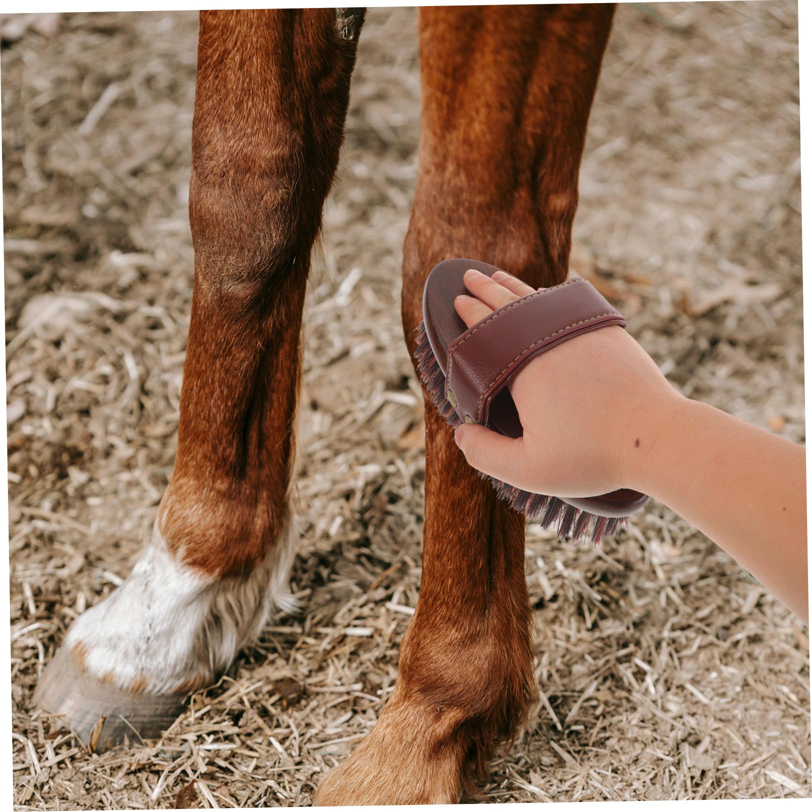 ibasenice Cepillo para Caballos Ovalado de Madera y Fibras Mixtas con Agarre de Cuero Pu para Limpieza Profunda y Estimulación Circulación en Necesidades Ecuestres