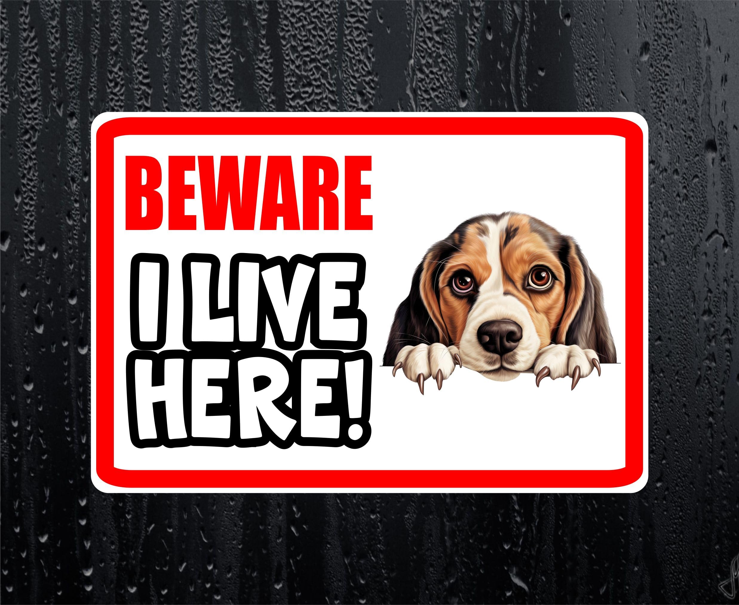 Decalarama White Beagle Sticker Beware I Live Here House Home Window Door Porch Printed Decal